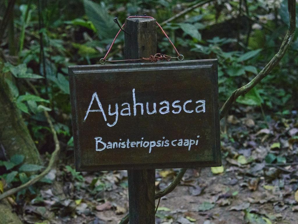 Side Banner Image 4