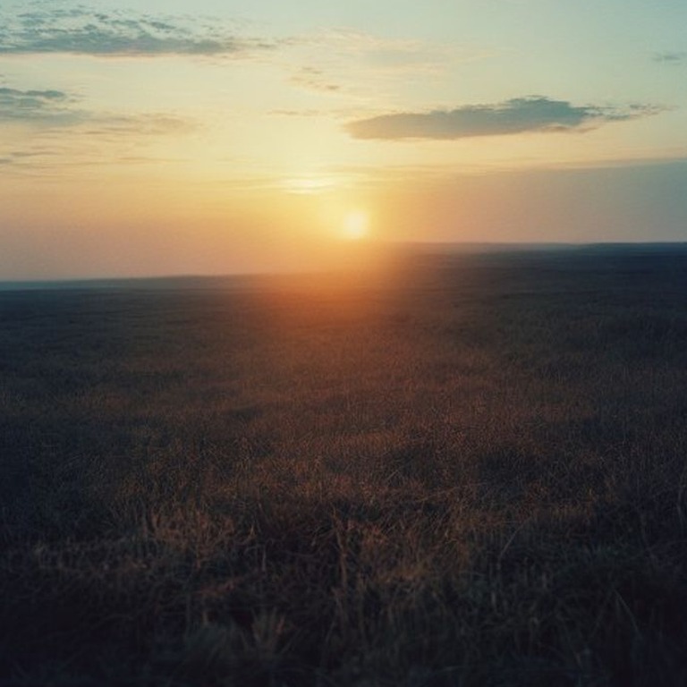 A serene sunrise over a vast, open Texas grassland, with lon... | ShopAyahuascaRetreats