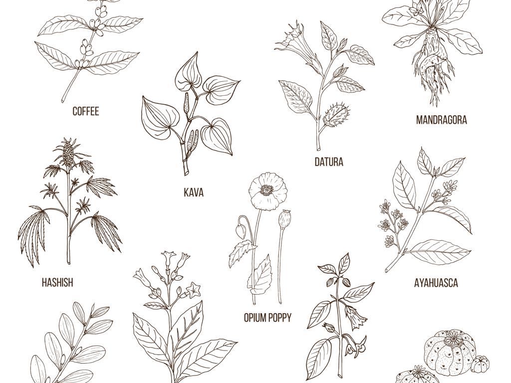 Side Banner Image 4