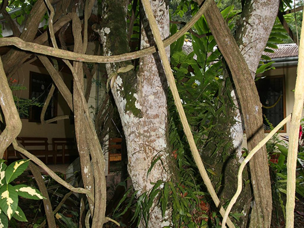 Side Banner Image 3