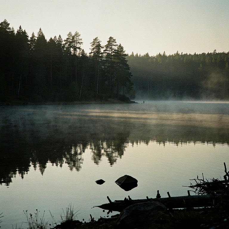 Mist rising from a calm lake, forest reflected in still wate... | ShopAyahuascaRetreats