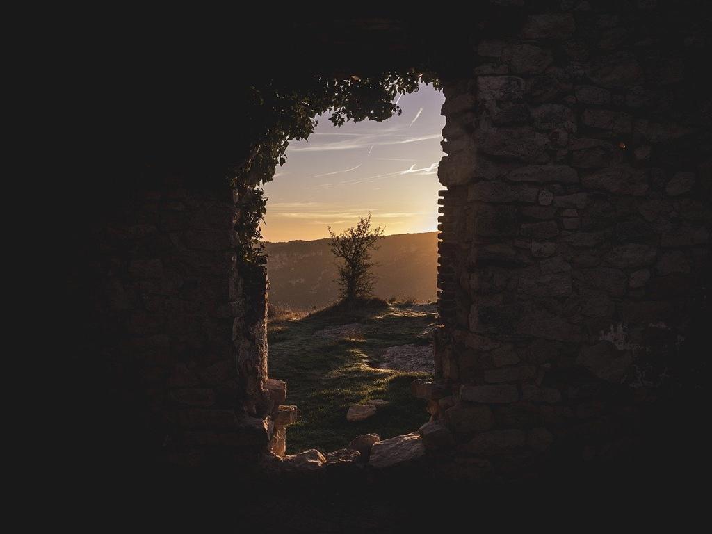 bolger image