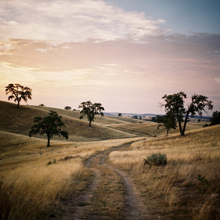 A sweeping, panoramic view of a rolling, golden hillscape at... | ShopAyahuascaRetreats