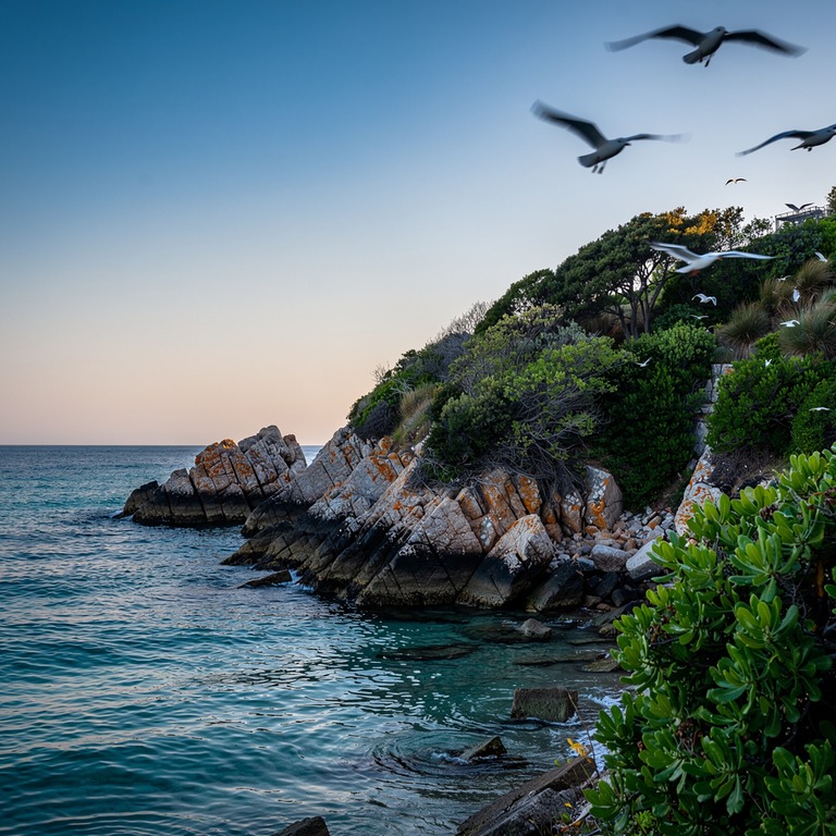 A tranquil sea cove with calm turquoise water, surrounded by... | ShopAyahuascaRetreats