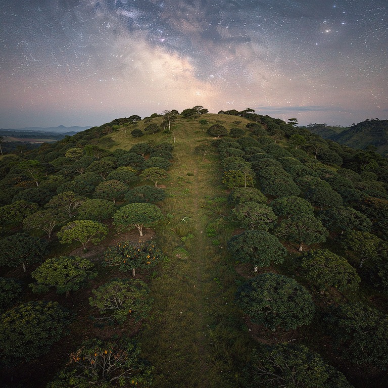In the stillness of a midnight sky, a brilliant Milky Way st... | ShopAyahuascaRetreats