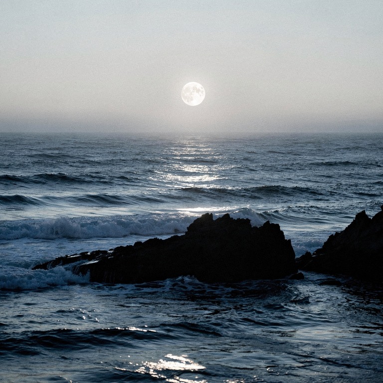 A full moon rises over a vast, dark expanse of ocean, castin... | ShopAyahuascaRetreats