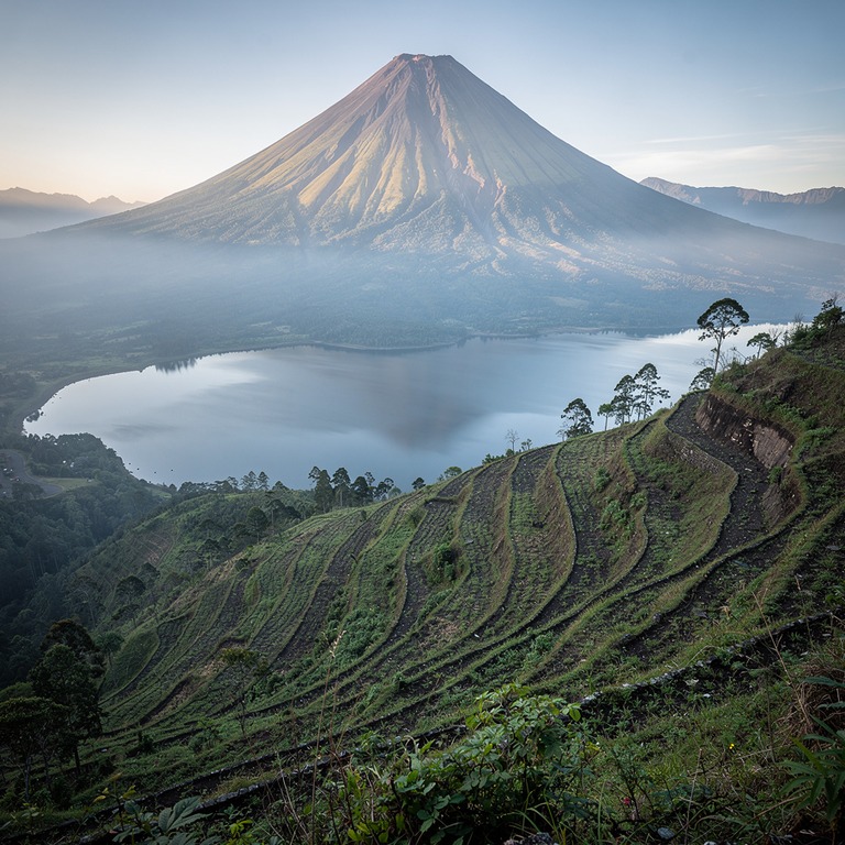 A majestic, sunlit volcano rises above a terraced hillside, ... | ShopAyahuascaRetreats