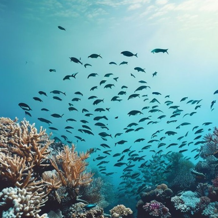 A school of fish swim near a coral reef with a variety of se... | ShopAyahuascaRetreats