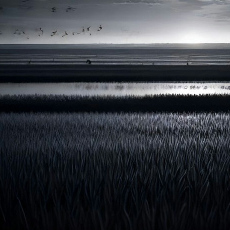 Flock of scarlet ibises taking off from a marshland | ShopAyahuascaRetreats