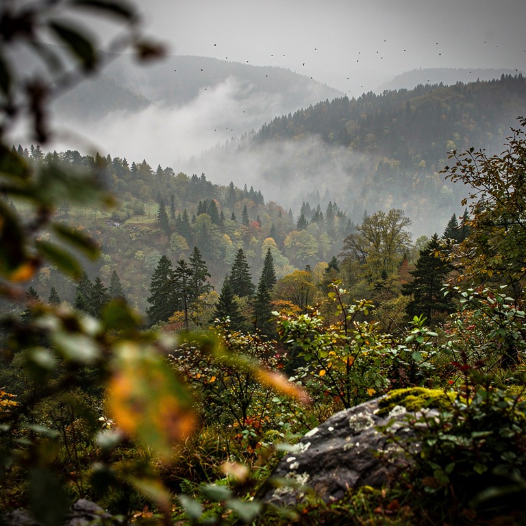 Layers of misty forested ridges fading into distance | ShopAyahuascaRetreats