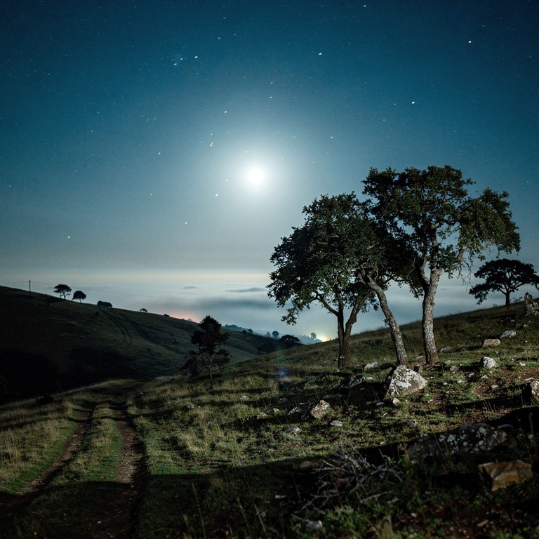 A vast, starry night sky over a rolling hillside with a few ... | ShopAyahuascaRetreats