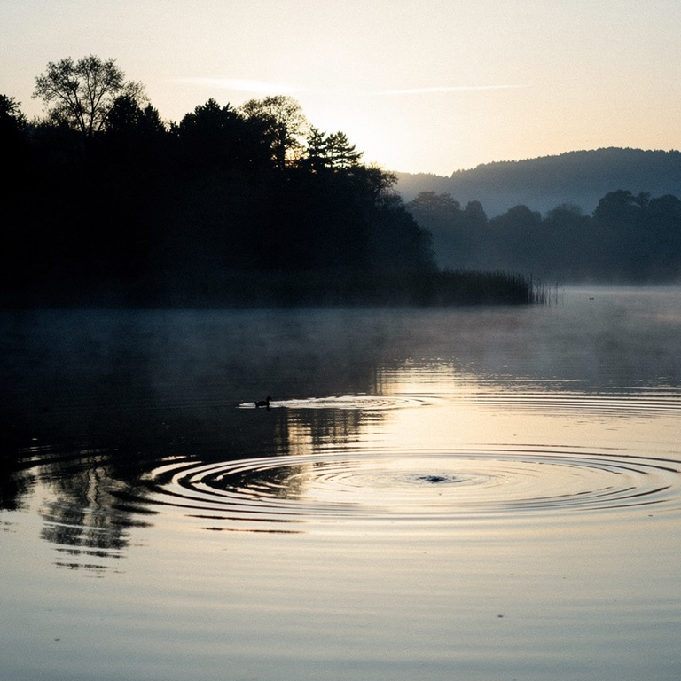 A tranquil, misty lake at dawn reflects the surrounding tree... | ShopAyahuascaRetreats