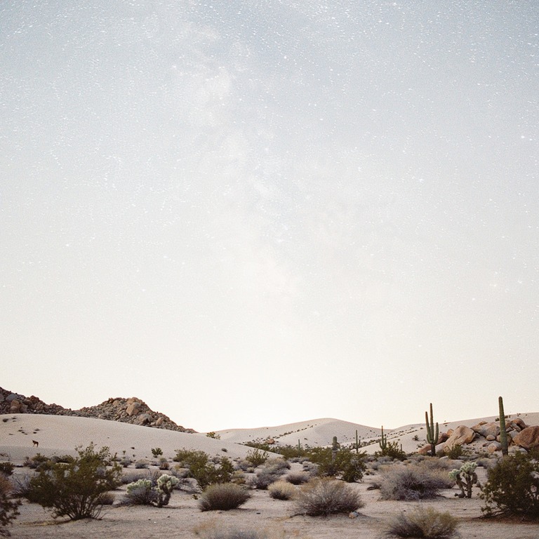 A vast, star-filled night sky above a desert landscape, with... | ShopAyahuascaRetreats