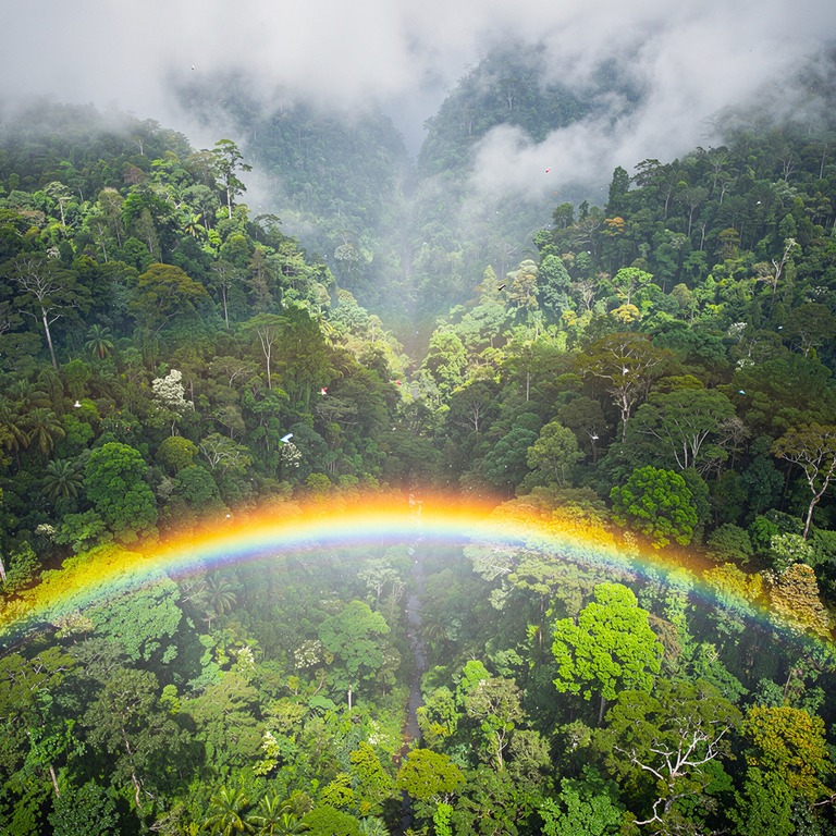 Rainbow arching over a misty rainforest valley after a storm | ShopAyahuascaRetreats