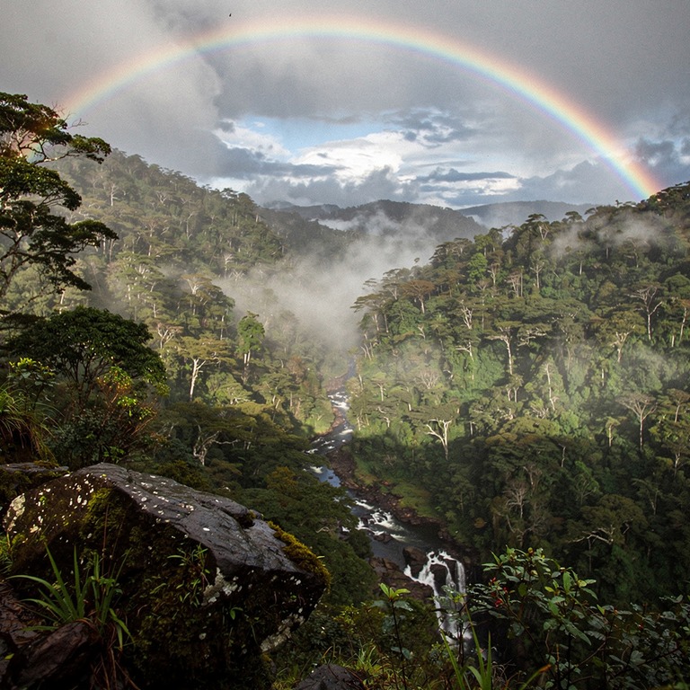 Rainbow arching over a misty rainforest valley after a storm | ShopAyahuascaRetreats