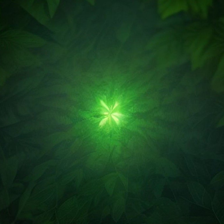 Wisps of steam rising from wet rainforest leaves after a dow... | ShopAyahuascaRetreats