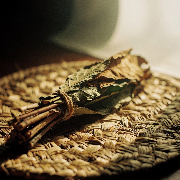 A close-up of a bundle of dried ayahuasca leaves on a natura... | ShopAyahuascaRetreats