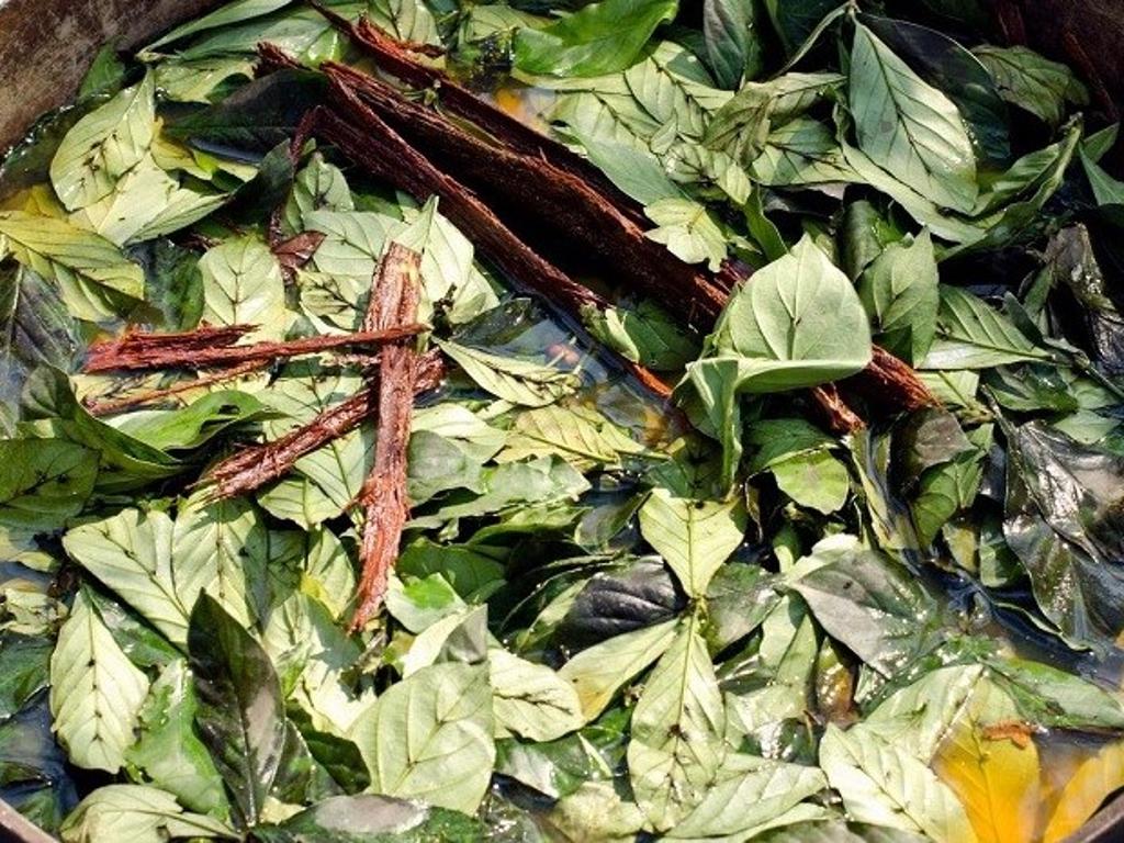Side Banner Image 4