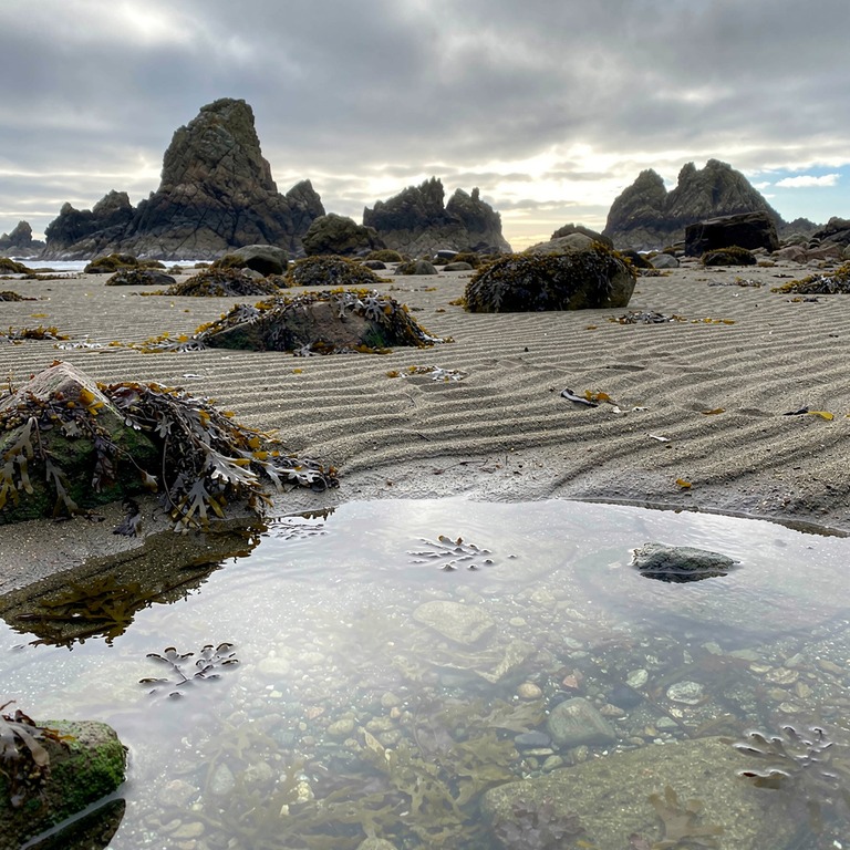 A tranquil, rocky shoreline at low tide, with calm, crystal-... | ShopAyahuascaRetreats