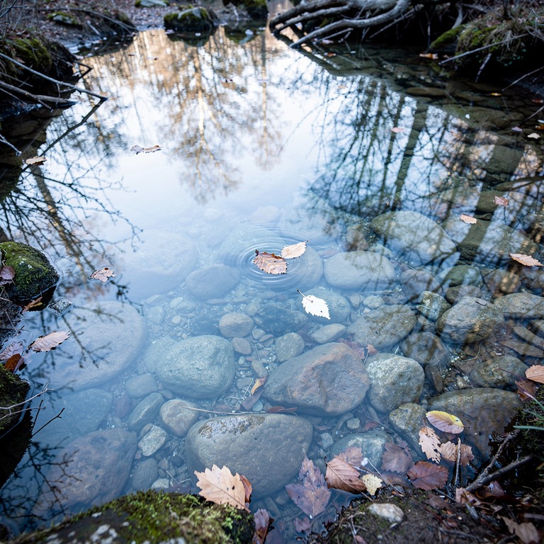 Crystal-clear forest pool with submerged stones and falling ... | ShopAyahuascaRetreats