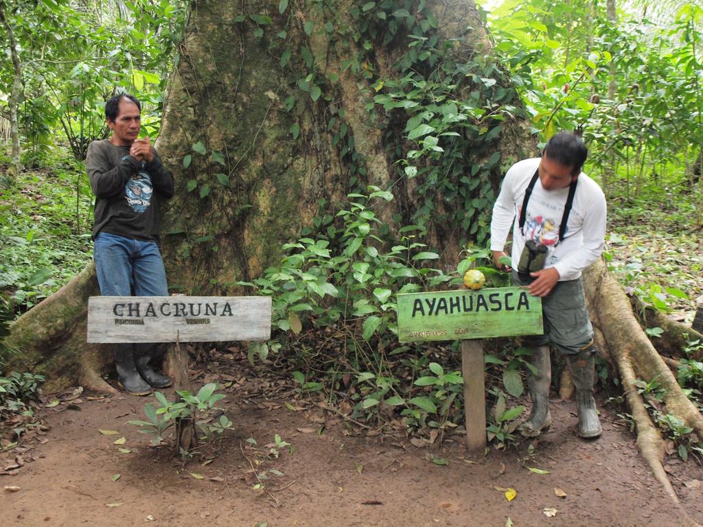 Side Banner Image 3