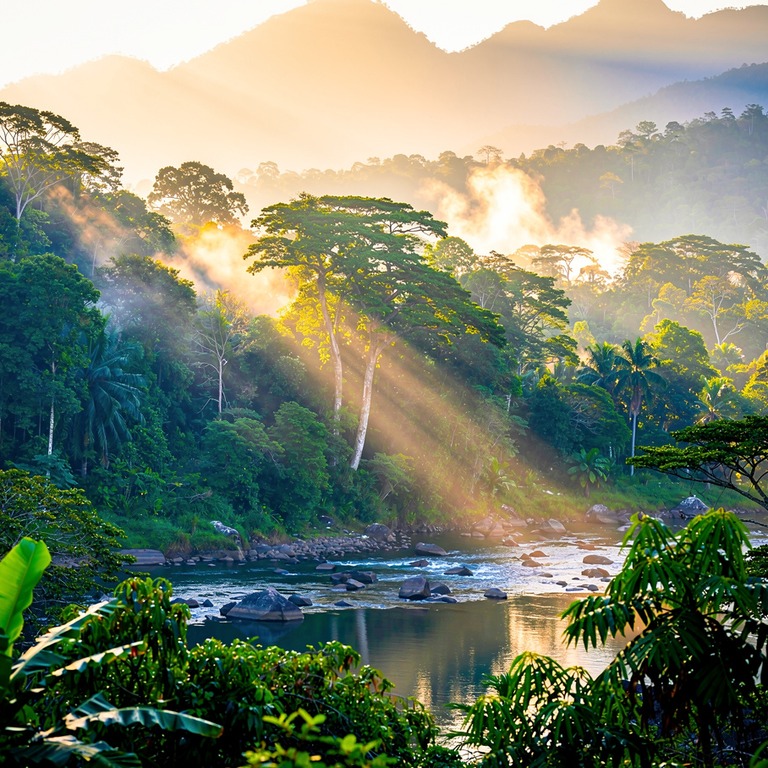 A serene mountain valley at dawn, with mist rising from the ... | ShopAyahuascaRetreats