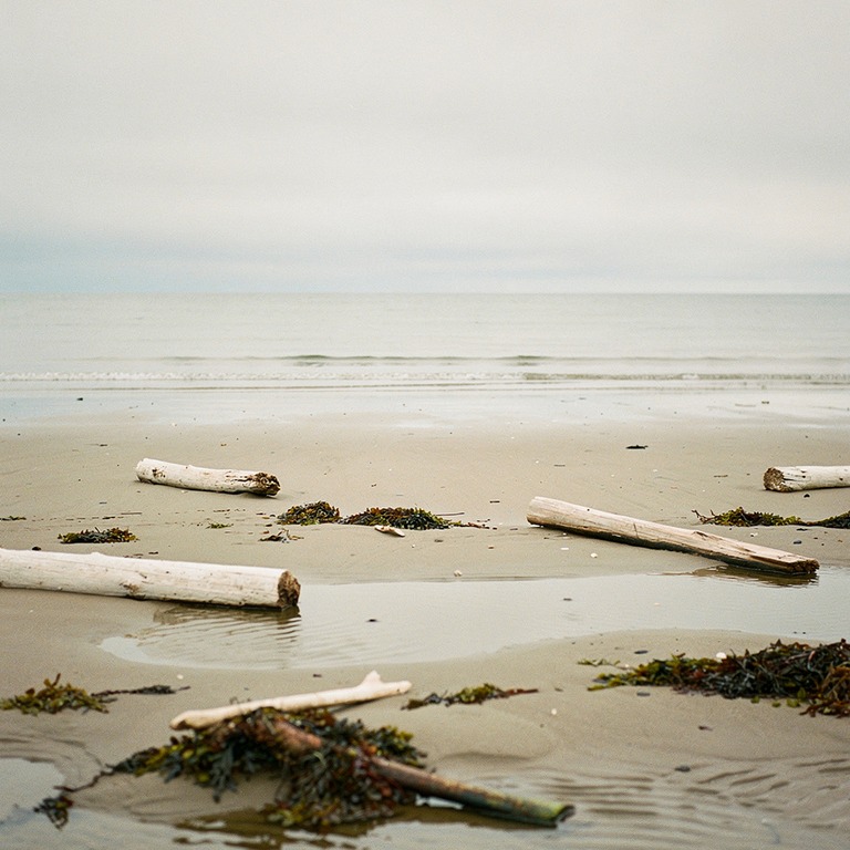 A tranquil, sandy shoreline at low tide, with a few scattere... | ShopAyahuascaRetreats