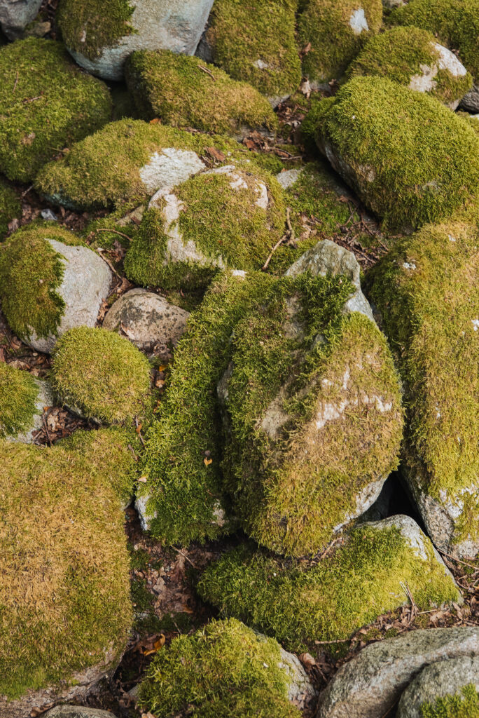 Listing Banner Image